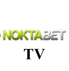 noktabet tv